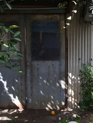 R0016124.jpg